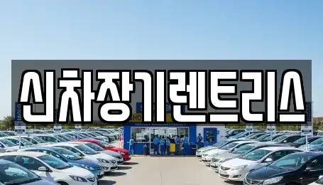 대구광역시 중구 포정동 렌트카 전문 신차장기렌트리스