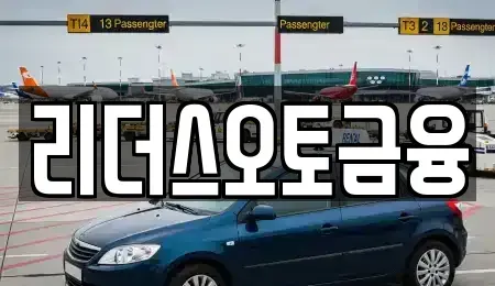 대구광역시 중구 포정동 장기렌트카 전문 리더스오토금융