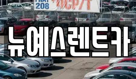 대구광역시 중구 하서동 렌트카 전문 뉴예스렌트카