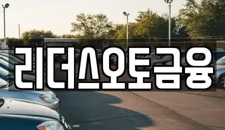 대구광역시 중구 하서동 렌트카 전문 리더스오토금융
