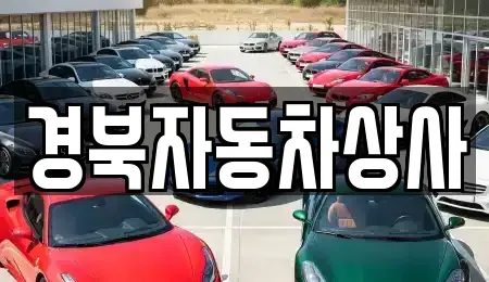 대구광역시 중구 하서동 중고차 전문 경북자동차상사