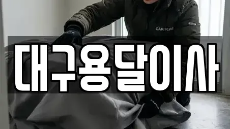 용달이사 서구 원대동2가 TOP 11 순위
