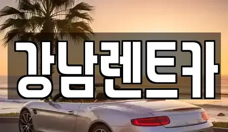 대전 대덕구 송촌동 렌트카 전문 강남렌트카