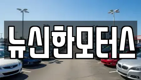 대전 대덕구 송촌동 중고차 전문 뉴신한모터스