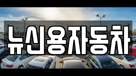 대전 대덕구 연축동 중고차매매 전문 뉴신용자동차