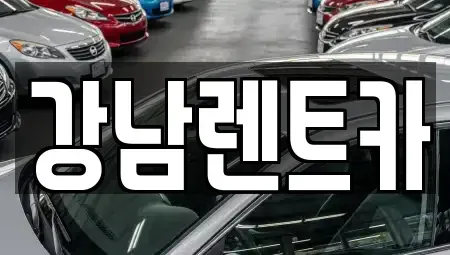 대전 서구 내동 렌트카 전문 강남렌트카
