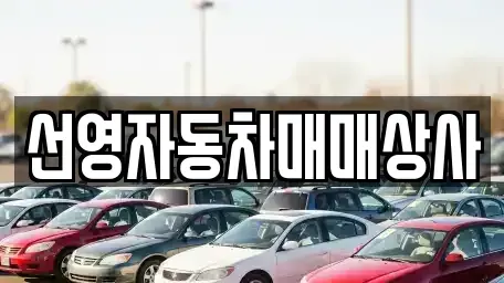 대전 서구 내동 중고차 전문 선영자동차매매상사
