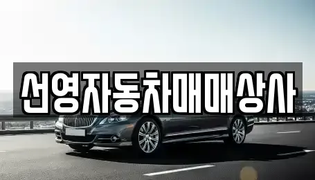 대전 서구 내동 중고차매매 전문 선영자동차매매상사
