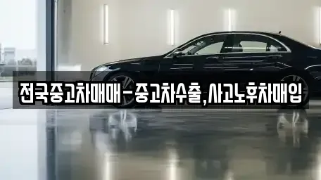 대전 서구 내동 중고차매매 전문 전국중고차매매-중고차수출,사고노후차매입