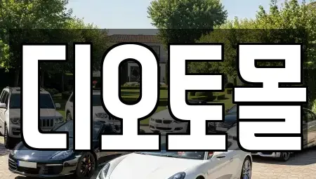 대전 유성구 구암동 중고차매매 전문 디오토몰