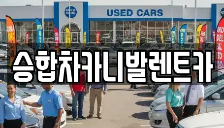 대전 중구 구완동 렌트카 전문 승합차카니발렌트카