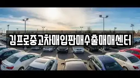 대전 중구 구완동 단기렌트카,중고차매입,중고차매매,중고차,렌트카,장기렌트카
