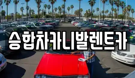 대전 중구 선화동 렌트카 전문 승합차카니발렌트카