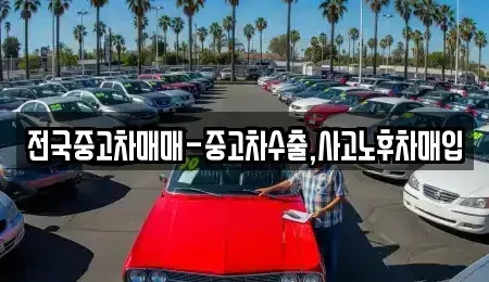 대전 중구 선화동 중고차매입 전문 전국중고차매매-중고차수출,사고노후차매입