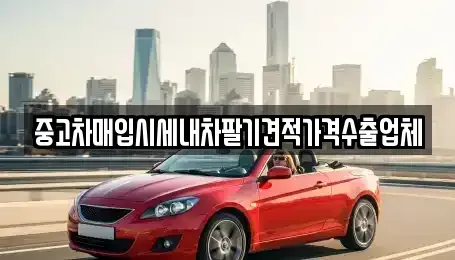 대전 중구 선화동 중고차매입 전문 중고차매입시세내차팔기견적가격수출업체