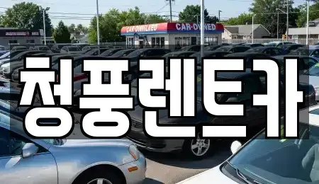 대전광역시 대덕구 부수동 렌트카 전문 청풍렌트카