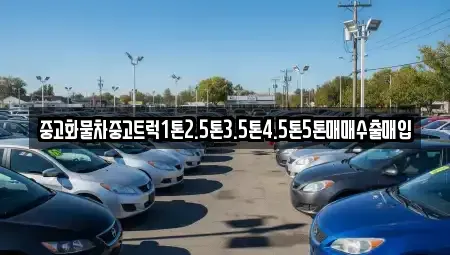 대전광역시 대덕구 부수동 중고차 전문 중고화물차중고트럭1톤2.5톤3.5톤4.5톤5톤매매수출매입