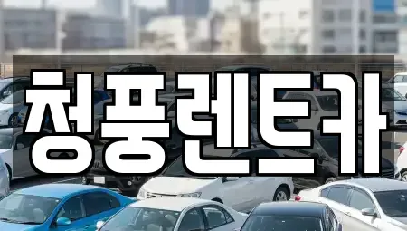 대전광역시 대덕구 이현동 렌트카 전문 청풍렌트카