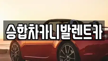 대전광역시 대덕구 장동 렌트카 전문 승합차카니발렌트카