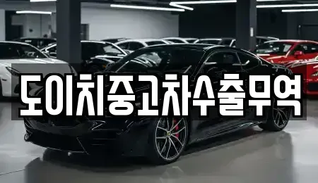 대전광역시 대덕구 장동 중고차매매 전문 도이치중고차수출무역