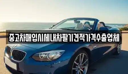 대전광역시 대덕구 장동 단기렌트카,중고차매입,중고차매매,중고차,렌트카,장기렌트카