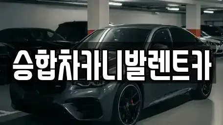 대전광역시 동구 효평동 렌트카 전문 승합차카니발렌트카