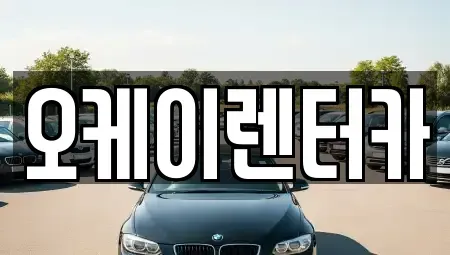 대전광역시 서구 만년동 렌트카 전문 오케이렌터카