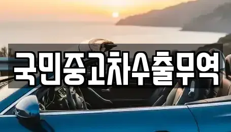 대전광역시 서구 만년동 중고차 전문 국민중고차수출무역
