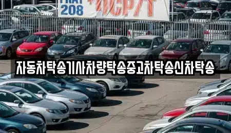 대전광역시 서구 만년동 중고차 전문 자동차탁송기사차량탁송중고차탁송신차탁송