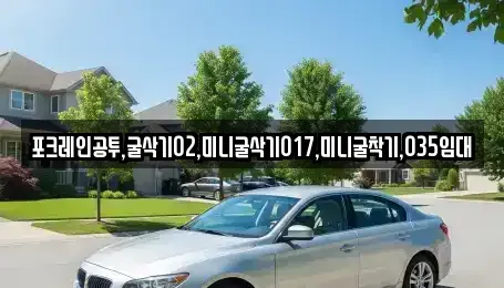 대전광역시 서구 만년동 중고차매입 전문 포크레인공투,굴삭기02,미니굴삭기017,미니굴착기,035임대