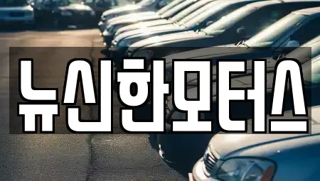 대전광역시 서구 용문동 중고차 전문 뉴신한모터스