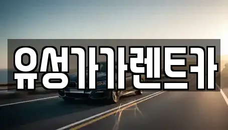 대전광역시 유성구 궁동 렌트카 전문 유성가가렌트카