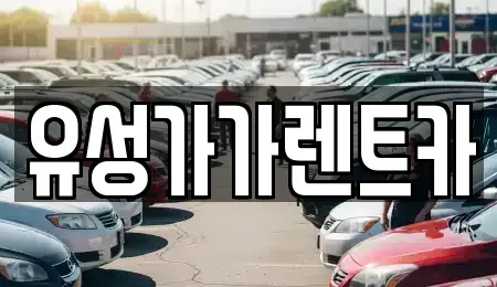 대전광역시 유성구 궁동 렌트카 전문 유성가가렌트카