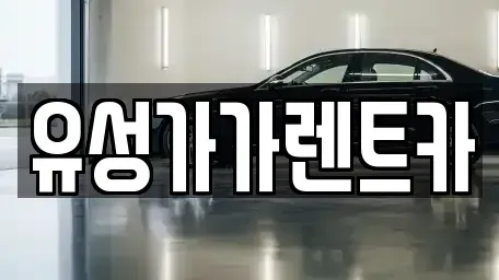 대전광역시 유성구 문지동 렌트카 전문 유성가가렌트카