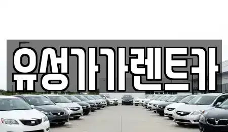 대전광역시 유성구 지족동 렌트카 전문 유성가가렌트카