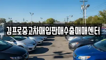 대전광역시 유성구 지족동 중고차매매 전문 김프로중고차매입판매수출매매센터