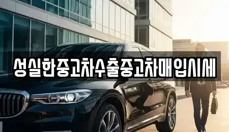 대전광역시 유성구 지족동 중고차매매 전문 성실한중고차수출중고차매입시세