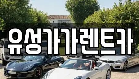 대전광역시 유성구 추목동 렌트카 전문 유성가가렌트카