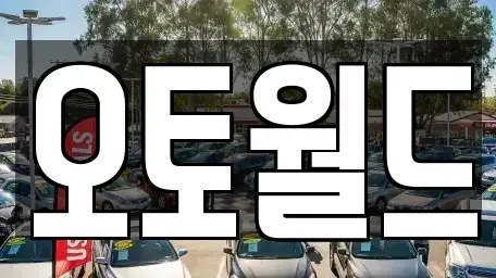 대전광역시 중구 부사동 중고차 전문 오토월드