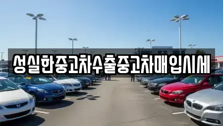 대전광역시 중구 선화동 중고차매매 전문 성실한중고차수출중고차매입시세