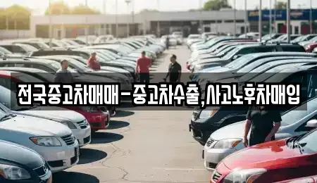 대전광역시 중구 선화동 중고차매매,단기렌트카,중고차매입,장기렌트카,중고차,렌트카