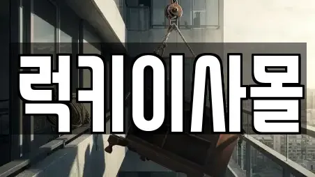 럭키이사몰