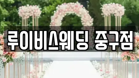 루이비스웨딩 중구점