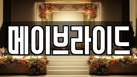 메이브라이드