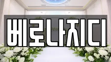 베로나지디