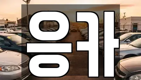 부산 기장군 장기렌트카 전문 응카