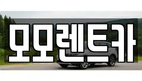 부산 기장군 장안읍 렌트카 전문 모모렌트카