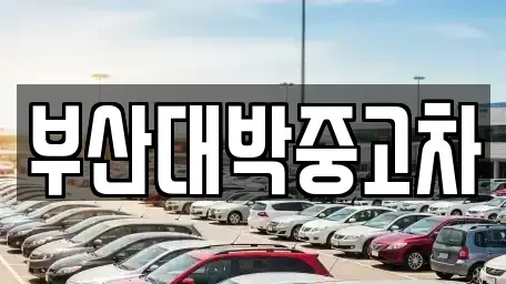 부산 기장군 중고차 전문 부산대박중고차