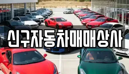 부산 동구 수정동 중고차 전문 신구자동차매매상사