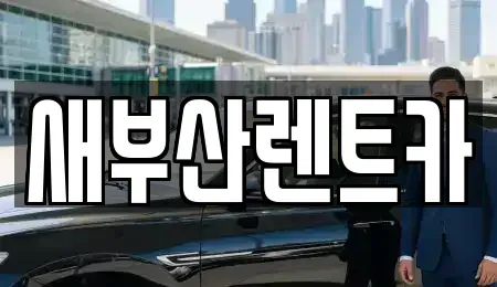 부산 서구 렌트카 전문 새부산렌트카